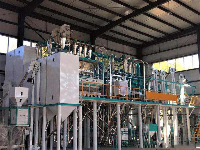 202208029409.jpeg 1.jpeg